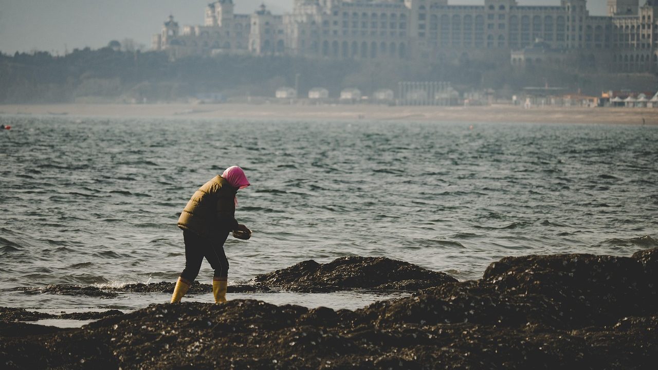 A person is cleaning the sea.