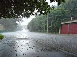 Heavy rain pours on a quiet, tree-lined street, with water splashing on the road and vehicles in the distance — capturing the cooling relief brought by the rainfall across Pakistan.