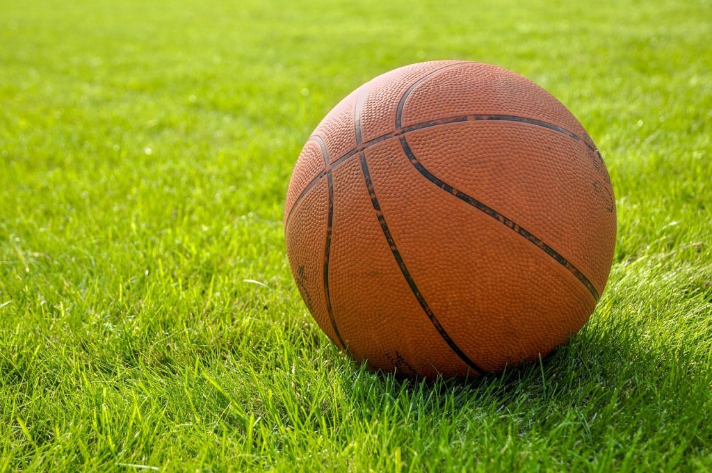 A close-up image of a basketball resting on a lush green grassy field. The basketball, with its textured orange surface and black lines, contrasts sharply with the vibrant, sunlit grass. The scene suggests an outdoor setting, possibly a park or yard.