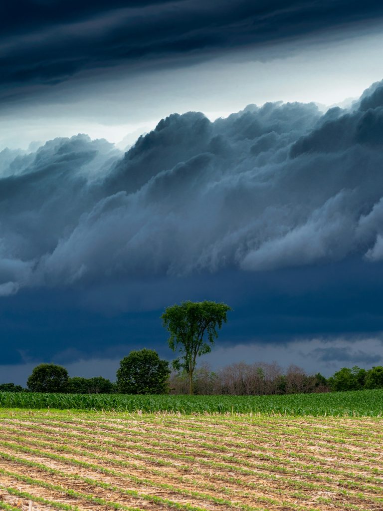 Dark, towering monsoon clouds gather ominously over a rural crop field, signaling approaching storms as warned by NDMA's alert starting July 6.